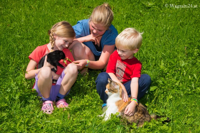Foto - Kinder streicheln Hasen und Katze am Bauernhof